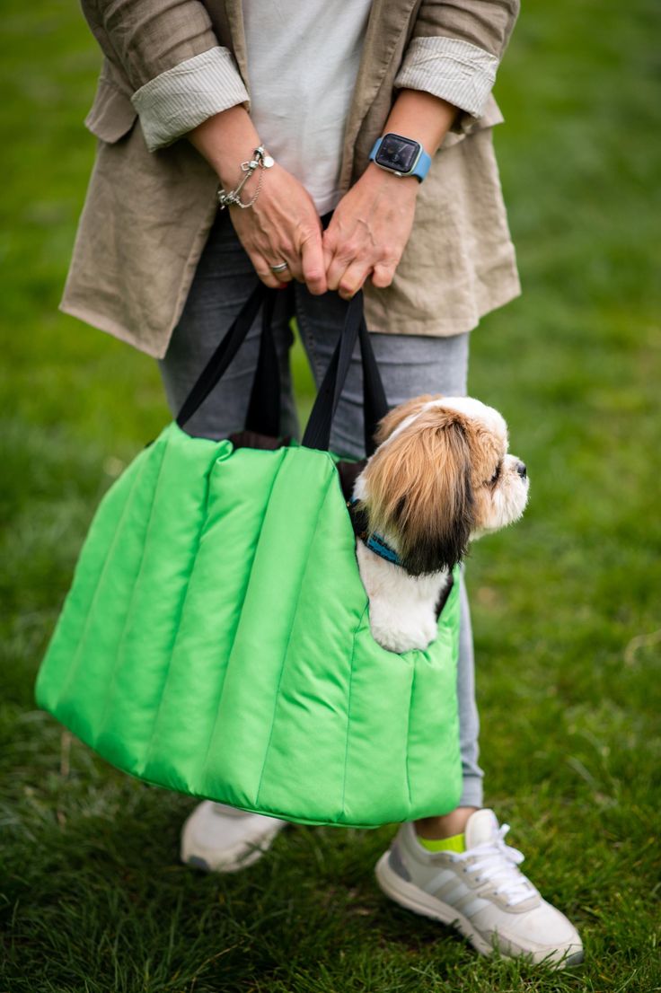 Dog-img