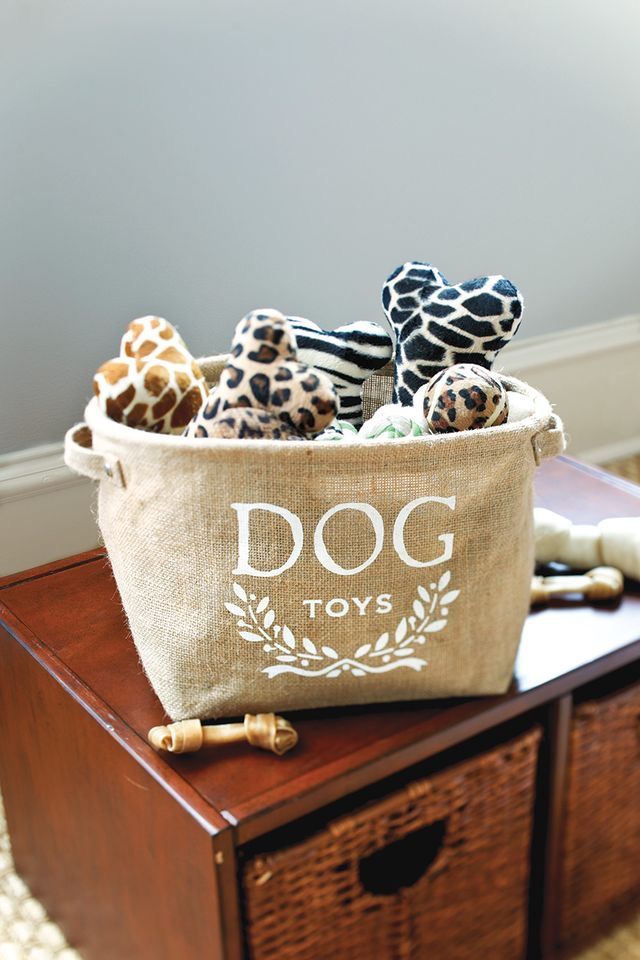 Dog-img