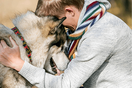 Dog with boy img